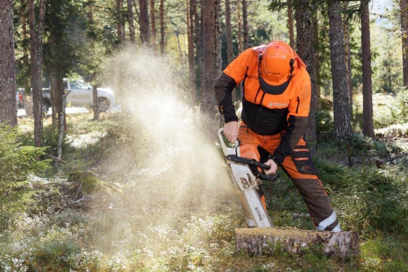 Egenaktive Møre og Romsdal Egenaktive vil kunne hente planter fra plantelagerplass når denne er avklart. Enkelte egenaktive vil som før, få plantene fraktet til hjemsted av ALLSKOG.