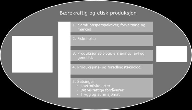 Programmet dekker først og fremst verdikjeden for laksefisk, men også produksjon av andre arter, med hovedvekt på arter på lavere trofisk nivå.