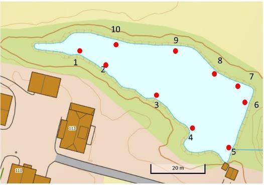 Figur 2.2 Foo av enkelruse, og plassering av rusene (røde prikker) rund en dam.