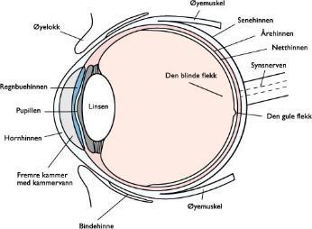 Kunstig optisk stråling forts.