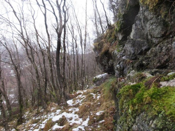 Ut fra steinstørrelse (ca. mellom 6 og 26 cm.), kalkinnhold i berggrunnen og luftfuktigheten karakteriseres rasmarken innen NiN-systemet som kalkfattig fuktig ur (T13-C-11).