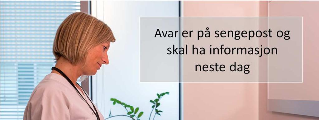 Avar kommer opp på