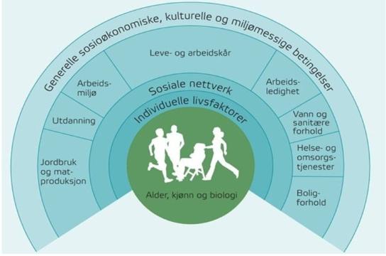 1.2 PÅVIRKNINGER FOR HELSE («HELSEDETERMINANTER») (1992: Dahlgren and Whitehead) 1.