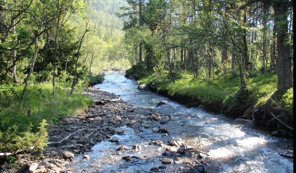 200-årsflom 10-årsflom Vassdragets areal ( 2