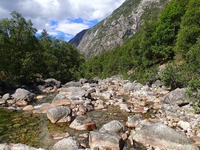 Det er mye stein og en del grus innblandet i disse områdene, men lite finsubstrat.