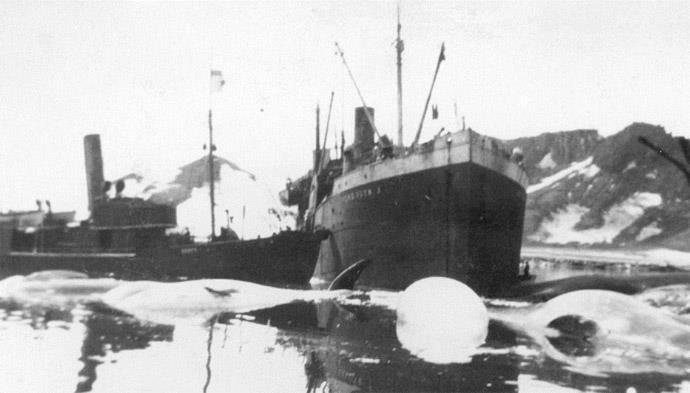 Catching off the coast of South-Shetland Islands. 1927 1928 Catched with the catchers GRAHAM, SCOTT and ALEX. LANGE. 1929 Catched with the catchers GRAHAM, SCOTT and ALEX. LANGE. 1930 Catched with the catchers GRAHAM, SCOTT and ALEX.