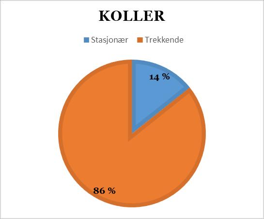 Klassifisering av