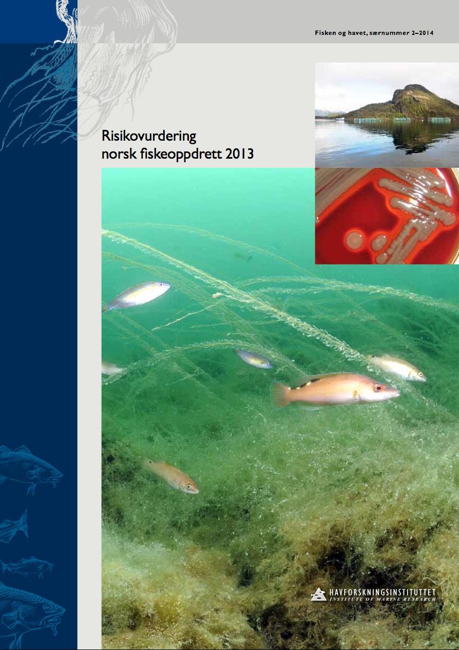 Havforskningsinstituttet utgir årlig en risikovurdering av norsk fiskeoppdrett Lakselus Annen smitte Genetisk påvirkning av rømt laks Utslipp av partikulære og løste