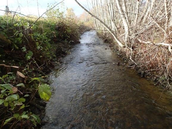 Vannforekomsten er definert som klimaregion lavland til skog, liten mht. nedbørfelt (3,8 km 2 ), moderat kalkrik, humøs og udefinert mht. turbiditet. I Vann-Nett får den vanntypekode RML1321.