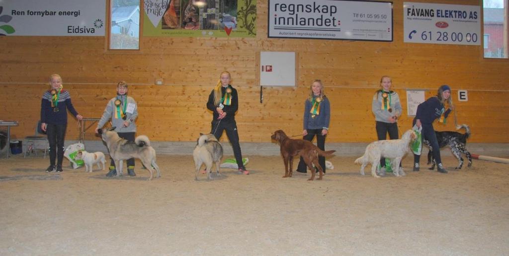 Barn og hund, klasse over 10 år Eksteriørbedømmelsen ble utført av Ann Carlström, Lars Hjelmtvedt og Rune