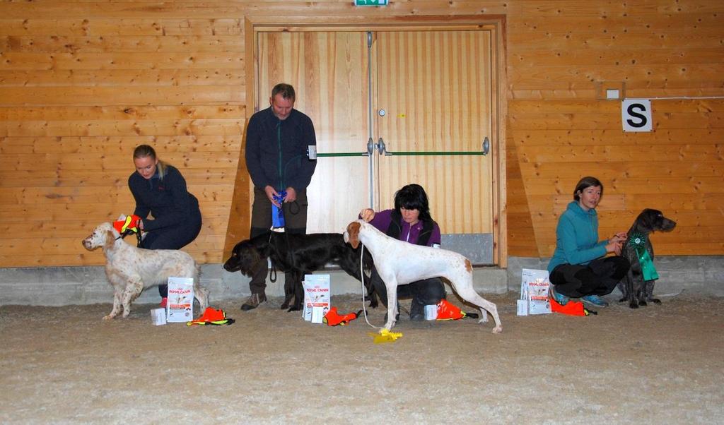 I gruppe 6 fikk ingen hunder CK av dommer Lars Hjelmtvedt og dermed ingen BIR-kåring Gruppe 7 dømte Ann Carlström, og hun rangerte hundene som følger 1.