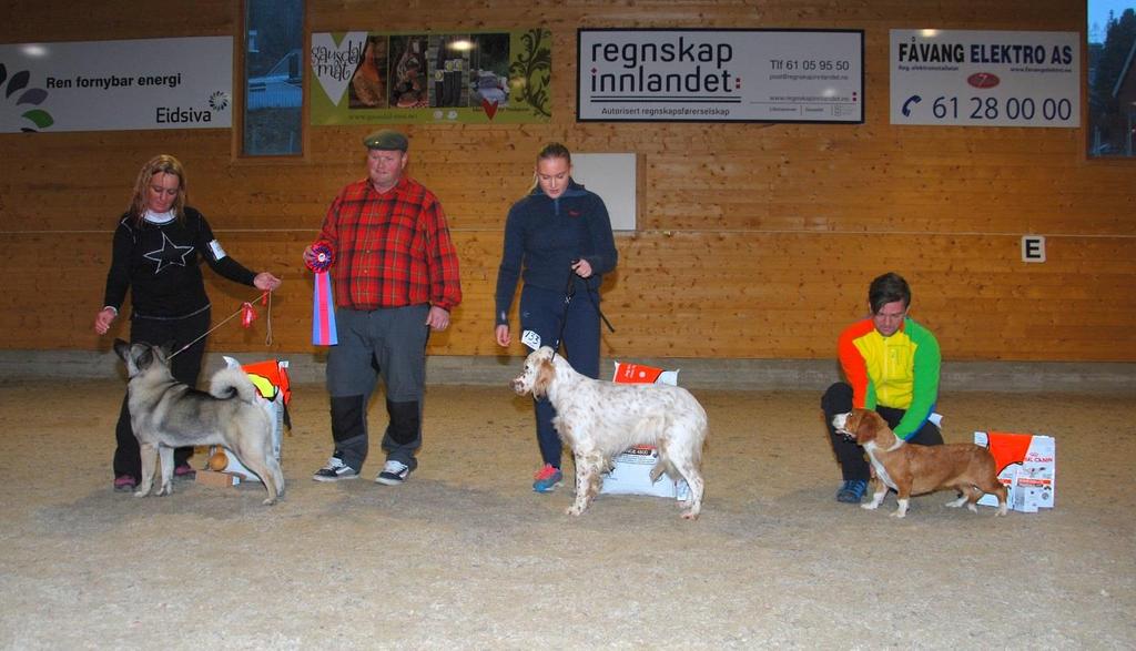 1. Norsk Elghund Grå SEV-17 BENELUXV-18 VV-18 Heggbrenna's Hjørdis NO44548/16 (C.I.B. NUCh-NJ(B)Ch NV-17 Varjdalen's TK Miro - NJ(B)Ch Tina e/o Hege og Roar Henningsen, Hernes 2.