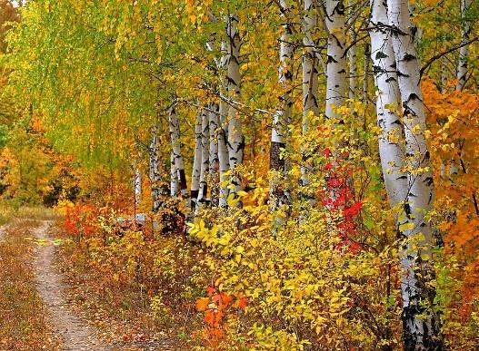 TURGRUPPE (14.00 16.00) Sted: Nærområdet Målområder: Fysiskaktivitet og lek - Natur, teknikk og miljø Hver tirsdag etter AKS måltidet er servert kan de som vil bli med på en liten tur i nærområdet.