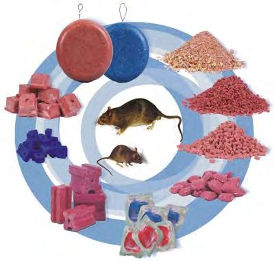 Rodenticider Rodenticider er gifter som brukes mot gnagere. Giftigheten til de ulike rodenticidene varierer mye, og enkelte kan f.eks. virke godt mot rotter, men ikke være så effektive mot mus.