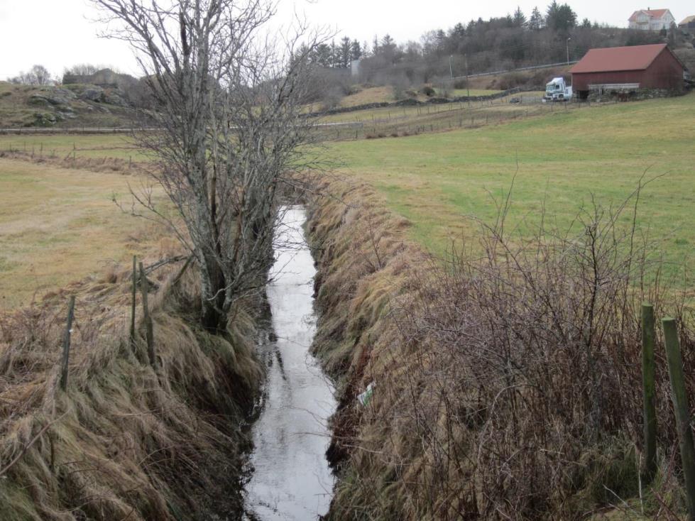 Figur 14: Bildet viser brudd på de krav som gjelder for avstand mellom bekk og dyrket mark.