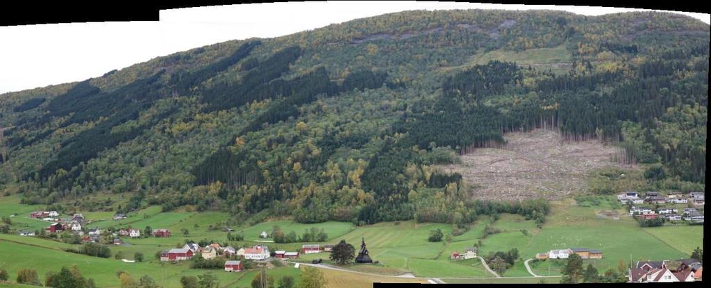 14 Figur 8 Bilete som viser vegetasjonstilhøva i fjellsida over delområde 1.