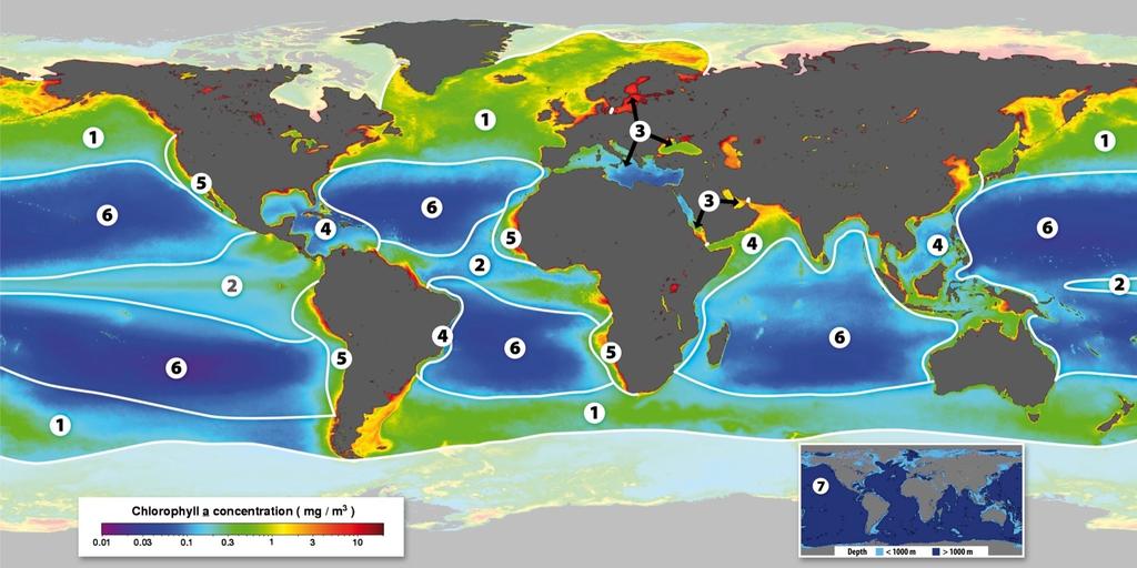Verdenshavene er satt sammen av et bredt spekter av ulike marine økosystemer fordelt på 7 hovedgrupper: 1. Våroppblomstringssystemene 2.