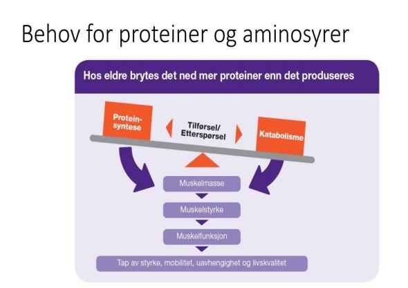 Økt behov for proteiner Til tross av at eldre og syke ofte beveger seg mindre enn før, har de et økt proteinbehov.