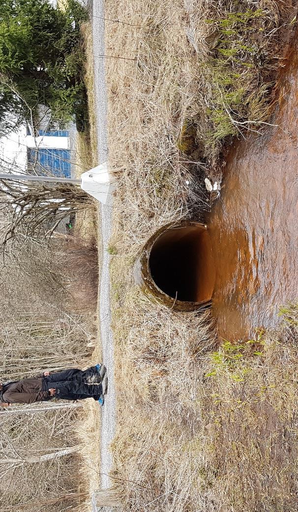 Kulvert og kulvertkapasitet Dagens kulvert er en sirkulær betongkulvert med diameter på 1 meter og lengde ca. 6 meter (Se Figur 2). Både innløp og utløp er målt og ligger ca. 189.5 moh.