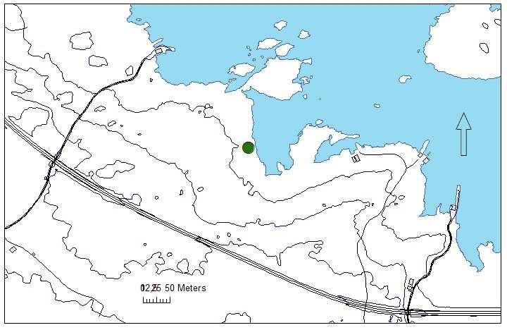 Rennesøy, Sørbø liten førekomst med god tilstand i 2015 Lokaliteten på Sørbø ligg innanfor (sørvest for) Risaholmen på nordsida av Rennesøy, sjå kartet.