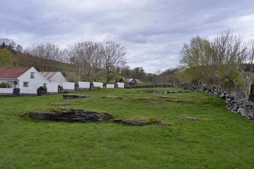 Helland aust, dei tre ryggane med dvergmarikåpe søre (nærast), midtre og nordre rygg.