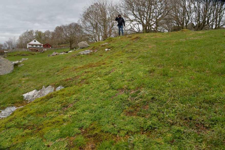 Rennesøy, Helland, vest for Prestvågen.