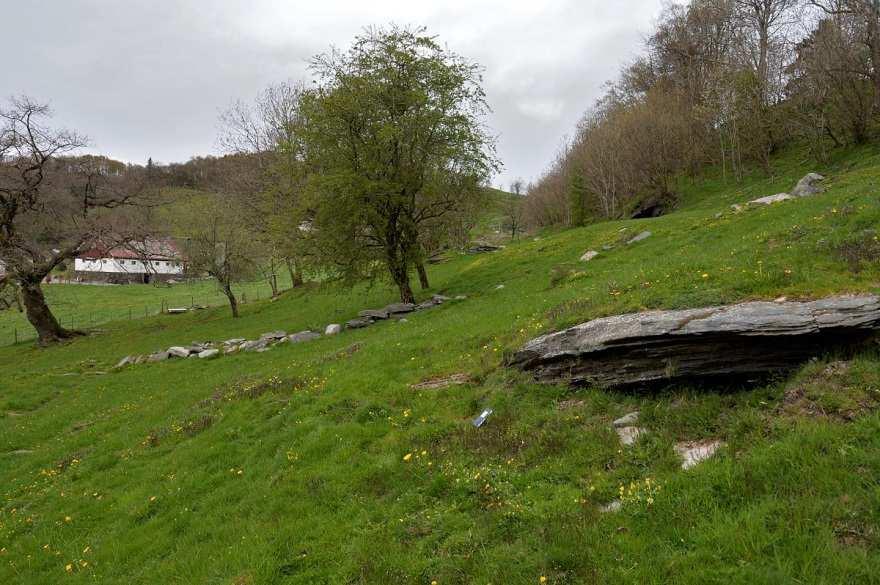 På den andre kjende lokaliteten for dvergmarikåpe på Indre Ladstein, Indre Ladstein nord, blei det i 2015 funne 14 planter i eit felt på ½ x 1 m.