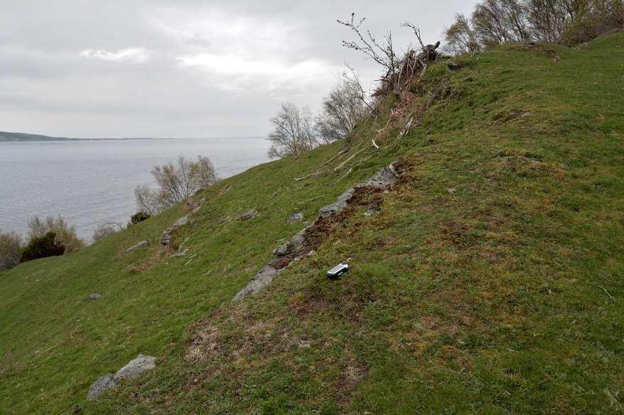 Finnøy, Ytre Ladstein held stand på skrinne berg Dvergmarikåpe er kjent med tre delpopulasjonar av dvergmarikåpe på Ytre Ladstein, og alle tre blei gjenfunne i 2015.