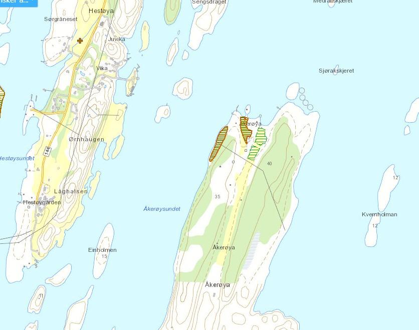 Sak 14/15 Dette kartet viser hva Naturbasen har av opplysninger på Åkerøya. Vurdering: Hytta er tenkt satt opp til næring.