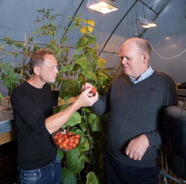 At dette matavfallet blir til biogass visste du kanskje fra før?