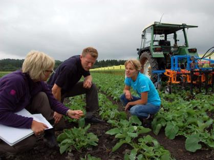 Rådgivingsavtale Utarbeides individuelt for bonde og oppdrag, med innhold og omfang. Oppfølging og utvikling av grovfôrproduksjonen for bedre avling og kvalitet.