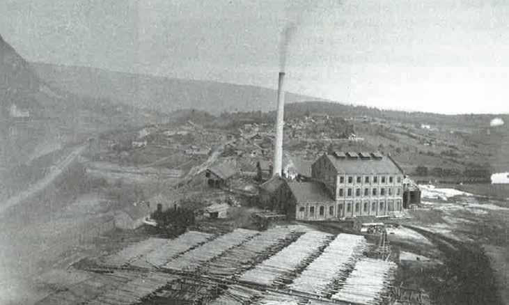 Med celluloseindustriens gjennombrudd på 1880-90-tallet tok Eiker for alvor skrittet fra jordbruksbygd til industrisamfunn. Mjøndalen Cellulosefabrik.