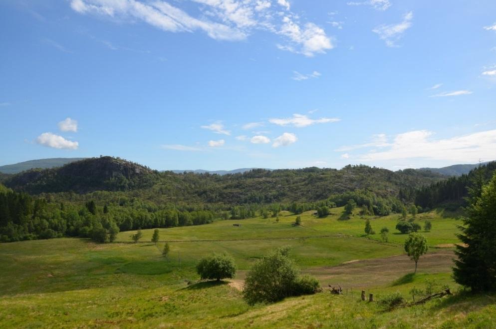 Jordbruksarealene er fordelt i hele planområdet, fra Mjeldheimsli og i Ytre Arna i sør, til større sammenhengende jordbruksareal på Kvam og i Kvamsdalen, Botn, Haugland og Kalsås.