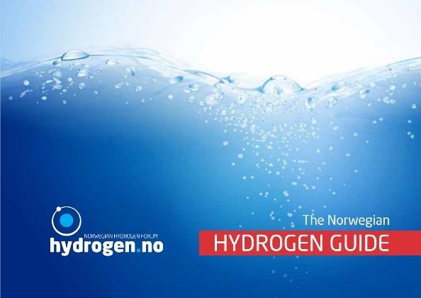 som arbeider med hydrogen og gjennomgang av rapporter og oversiktsdokumenter og i