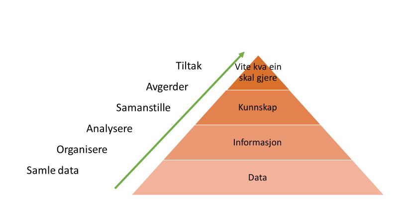 prosjektleiarane uttrykker det.