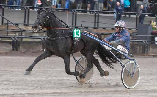 GRATIS INNGANG anekode: 0 Varmingsinfo fra Ole onny Solberg ERKEANEN Nr /09 Kr Troll Solen/Magnus T. Gundersen. Foto: hesteguiden.com www.bjerke.no Onsdag 9. juni -. løp kl. 9.00 Innlevering V7 kl. 9.00 - V kl.