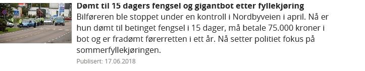 varetektsfengsling eller forlengelse av varetektsfengsling.