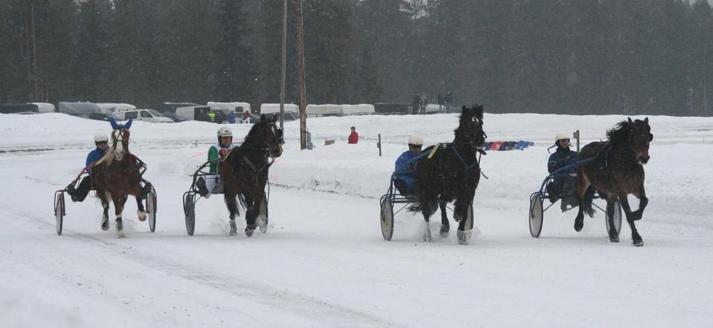 PROGRAM FOR KONGSBERG TRAVSELSKAPS LOKALKJØRING PÅ KONGSBERG TRAVBANE Søndag 03. mars 2019 KL. 12.00.