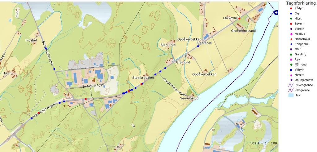 Side 8 av 14 Vilt Det er registrert 17 elgpåkjørsler og 4 rådyrpåkjørsler innenfor planområdet de 10 siste årene (Figur 5).