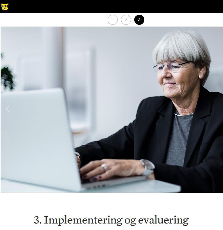 Trinn 3 Implementering og evaluering Implementering Lederansvaret Informasjon Dokumentasjon Evaluering Hvordan blir seniorpolitikken