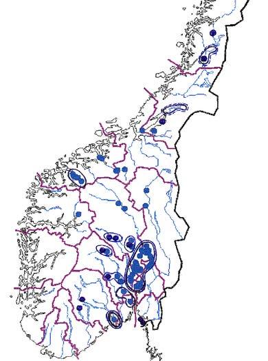 Tor Erik Brandrud på mindre enn 1 % av skogarealet i Norge.