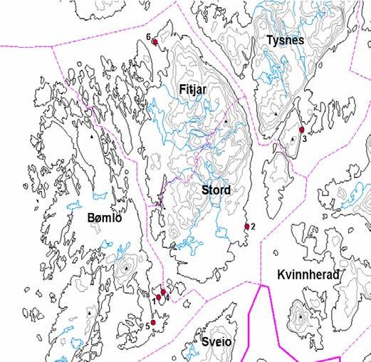 Per Fadnes glossum godt representert her med alle kjente norske arter med unntak av grønntunge.