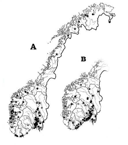 Anna-Elise Torkelsen Tabell 1. Småsporet grønnbeger Chlorociboria aeruginascens og storsporet grønnbeger Chlorociboria aeruginosa ; likheter og forskjeller.