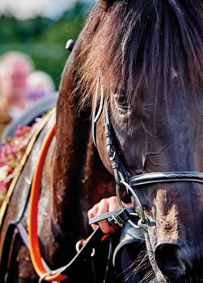 SOMMERFEST PÅ ØVREVOLL LØRDAG 29. JUNI KL. 17.