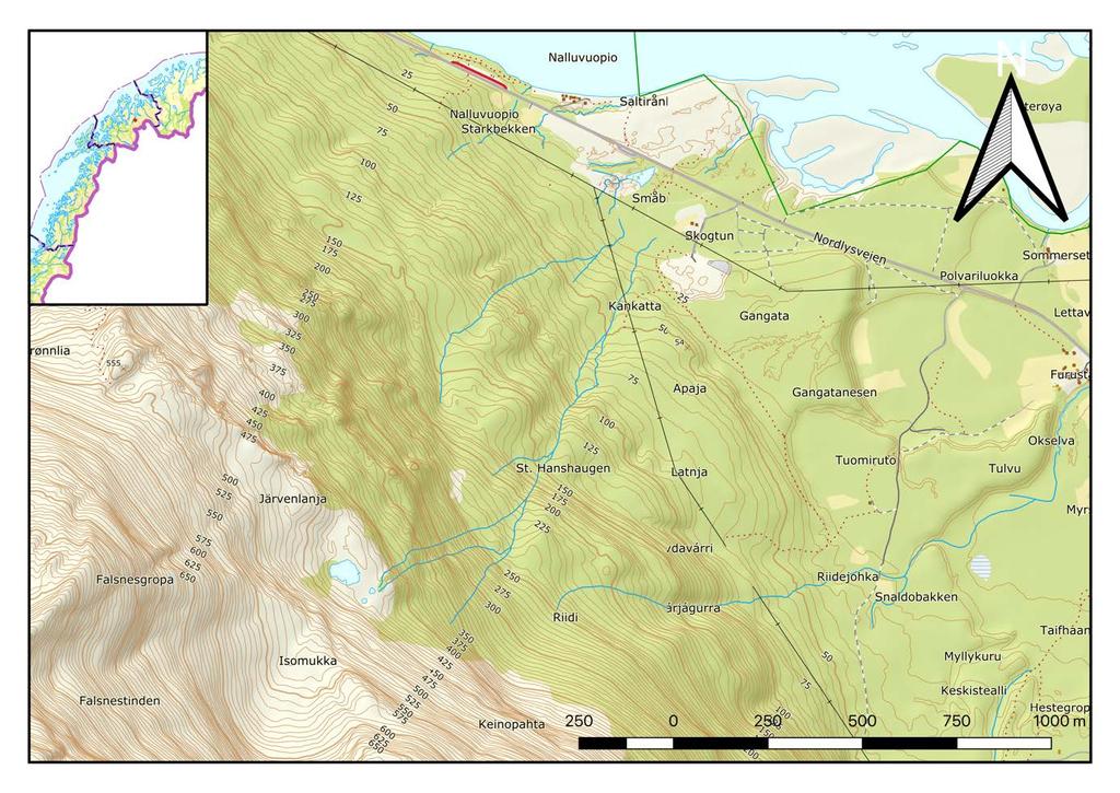 Geologisk kartlegging Nallovuopphi Topografi Området befinner seg delvis i flatt terreng sør for E8, som blir brattere opp mot Falsnestind (Figur 1 og 9).