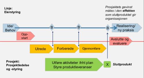 Prosjekteigar er den leiaren i organisasjonen som ønsker realisert ein ny ide eller eit behov gjennom eit prosjekt.