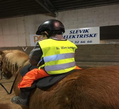 Prosjekt - Hjorgunn gård Det har blitt gøy å ri igjen, og her er det ny