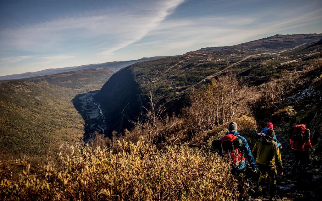 INNHOLD INTRODUKSJON 03 HOVEDKONKLUSIONER 04 TURISTENE I TELEMARK 06 TURISTENES REISEVANER 10 TURISTENES FORETRUKNE AKTIVITETER 15 TURISTENES FORBRUK PÅ REISEN 18