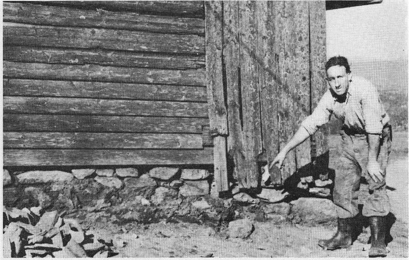 Finneren, gårdbruker Bjarne Eikanger peker på stedet hvor hc.n fant sølvmyntene, bare en snau spadedybde under jordoverflaten.