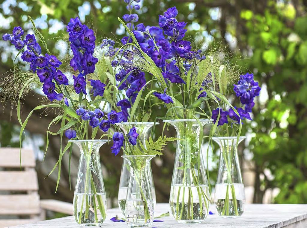 DRÅPEN DRÅPEN er en helt ny og vidunderlig vaseserie fra den kjente blomsterdekoratøren Finn Schjøll. De nye vasene DRÅPEN er langstrakt myke, vakre og tidløse.